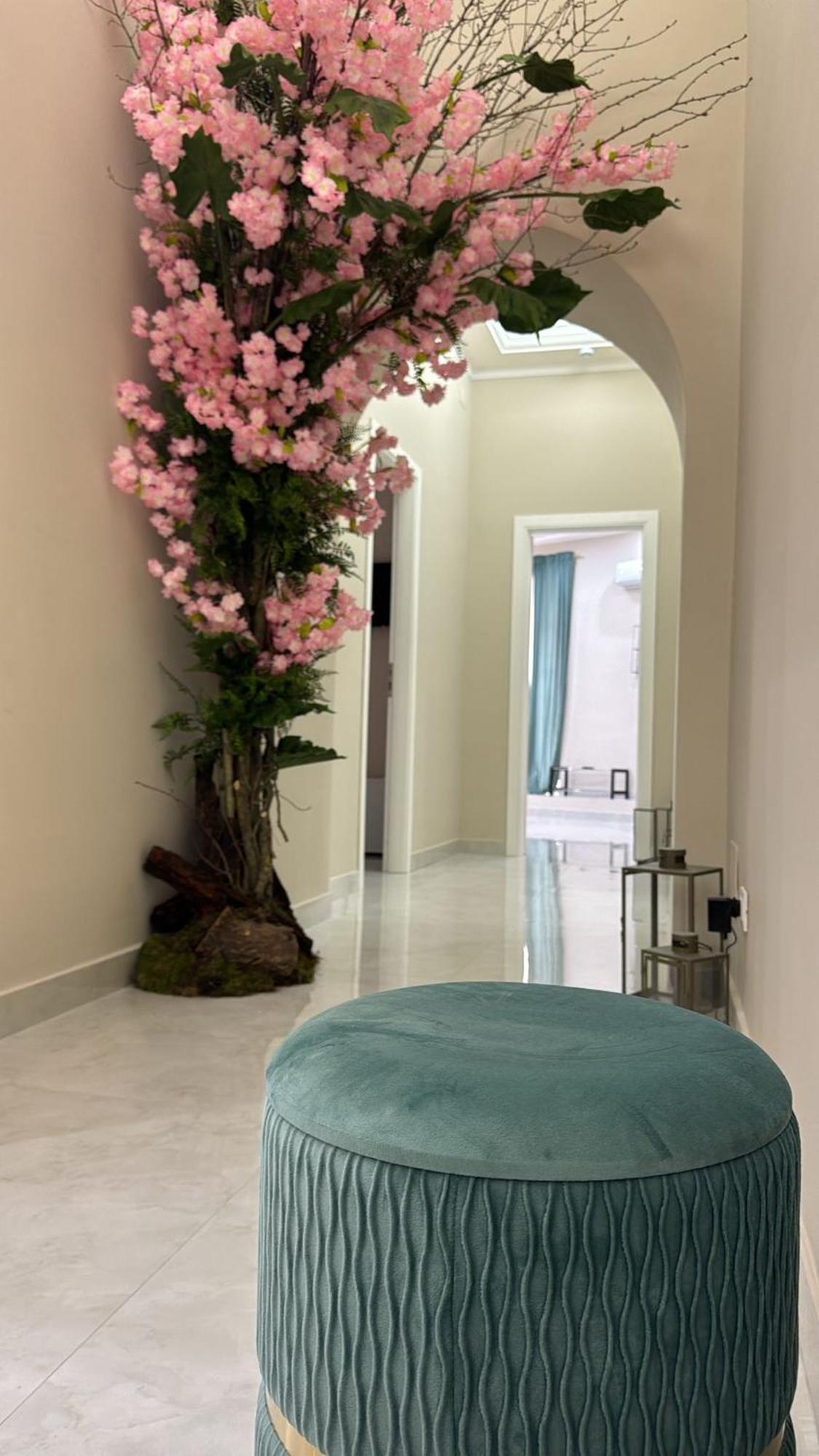Royal Dream Bed & Breakfast Napels